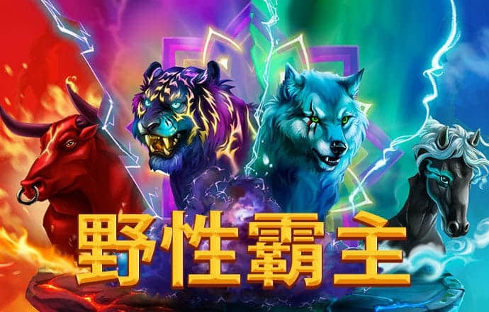 k1体育登录入口官网手机版